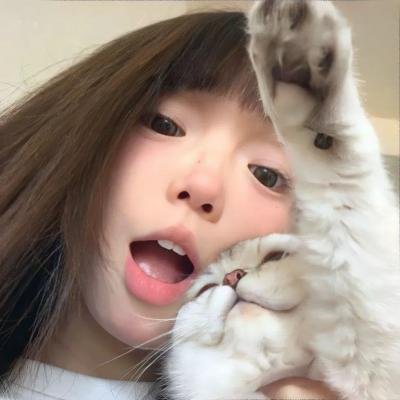 动物王国2023